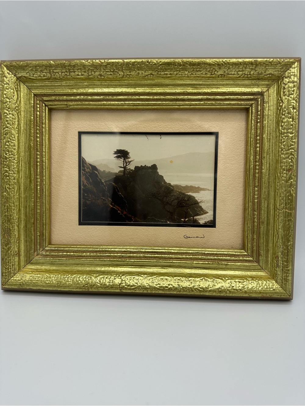 Gamow Photography Signed Matted Framed Nature Tree Mountain Sea Wall Art